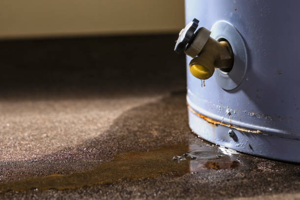 Best Ceiling water damage repair  in Deland, FL
