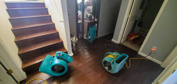 Best Basement water damage restoration  in Deland, FL
