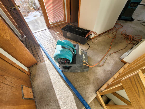 Best Carpet water damage restoration  in Deland, FL