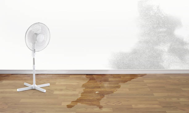 Best Water damage restoration near me  in Deland, FL