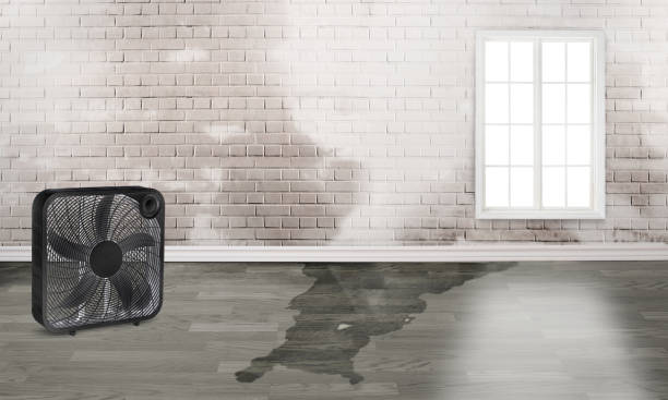 Best Emergency water damage restoration  in Deland, FL