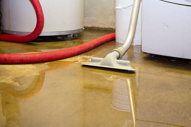 Best 24-hour water damage restoration  in Deland, FL