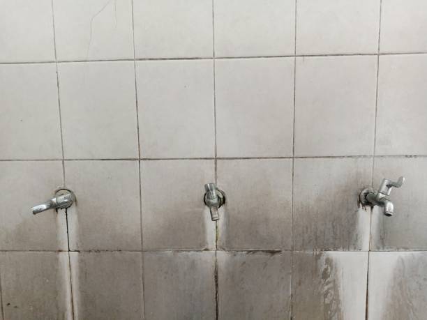 Best Professional water damage repair  in Deland, FL