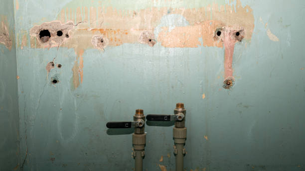 Best Water damage restoration near me  in Deland, FL