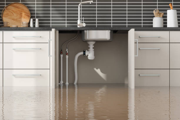 Best Water damage restoration services  in Deland, FL