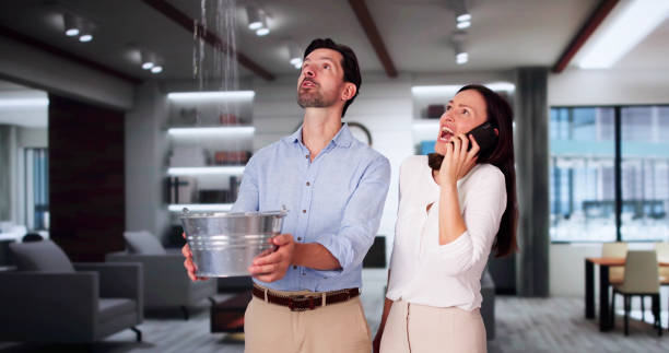 Best Water damage contractors near me  in Deland, FL